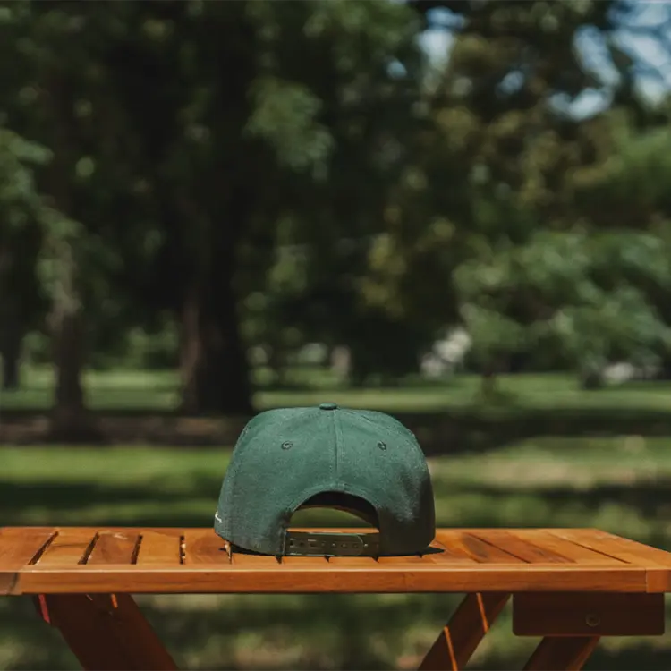 Script Snapback
